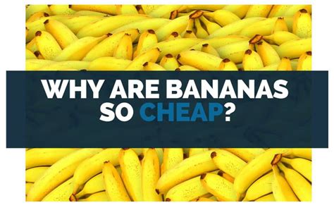 how are bananas so cheap